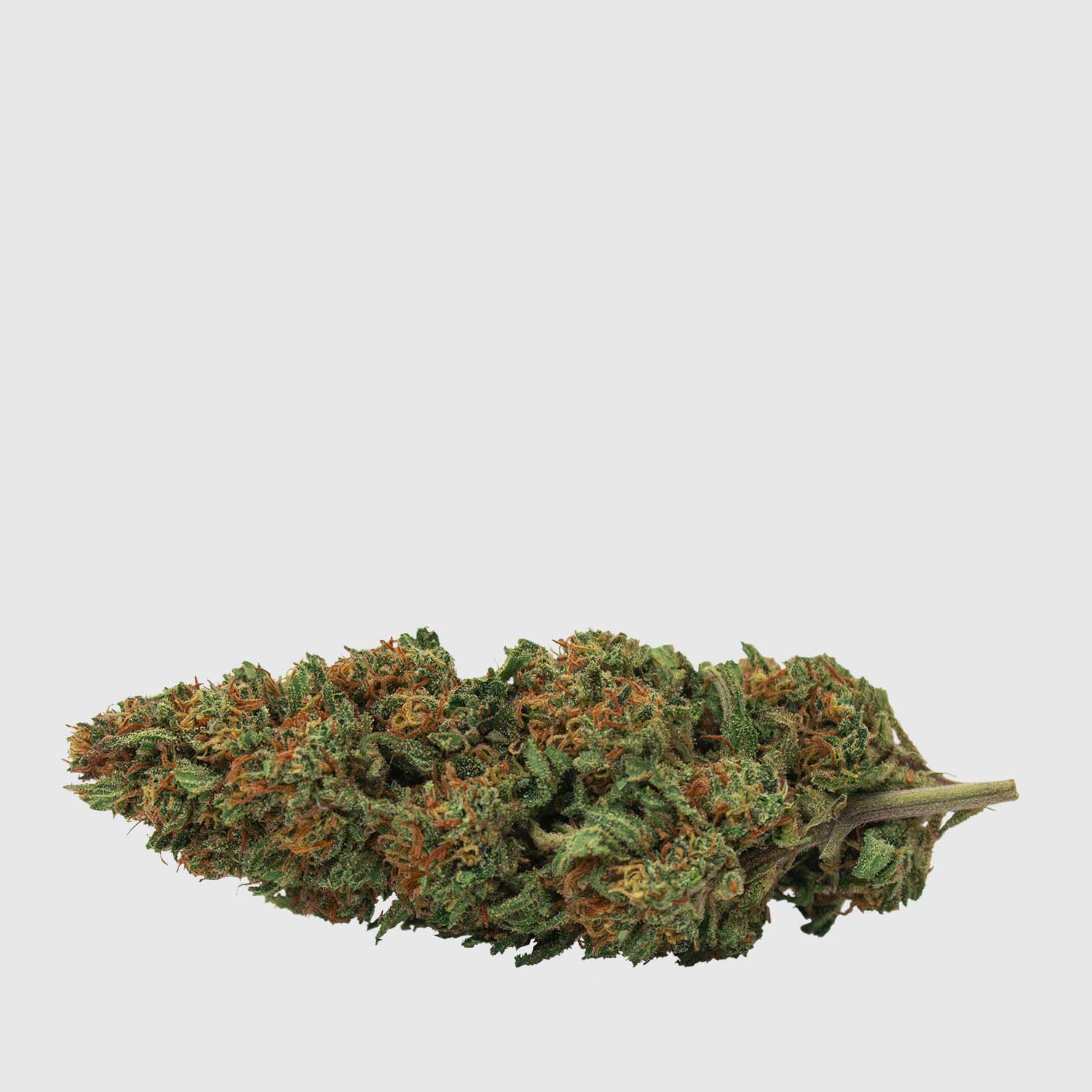 Strawberry yogurt CBD 2g coltivazione greenhouse