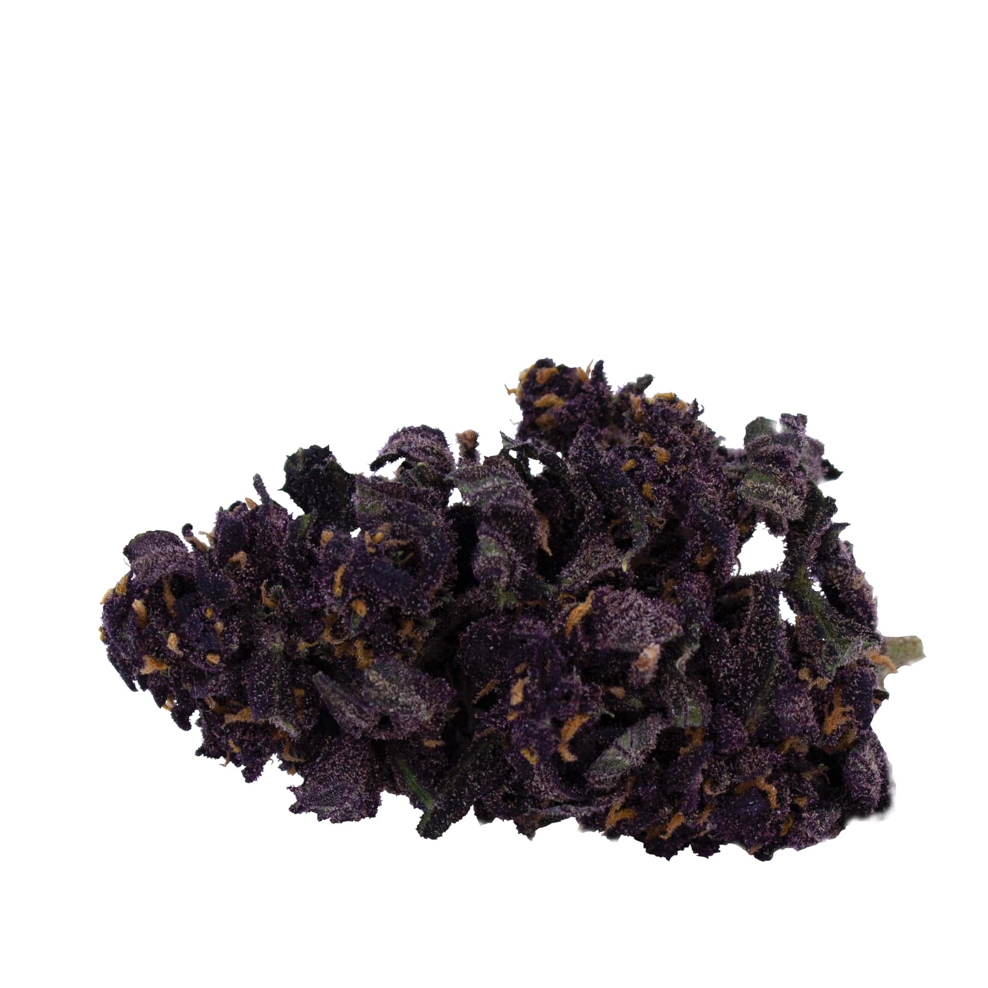 Deep purple CBD 2g coltivazione greenhouse