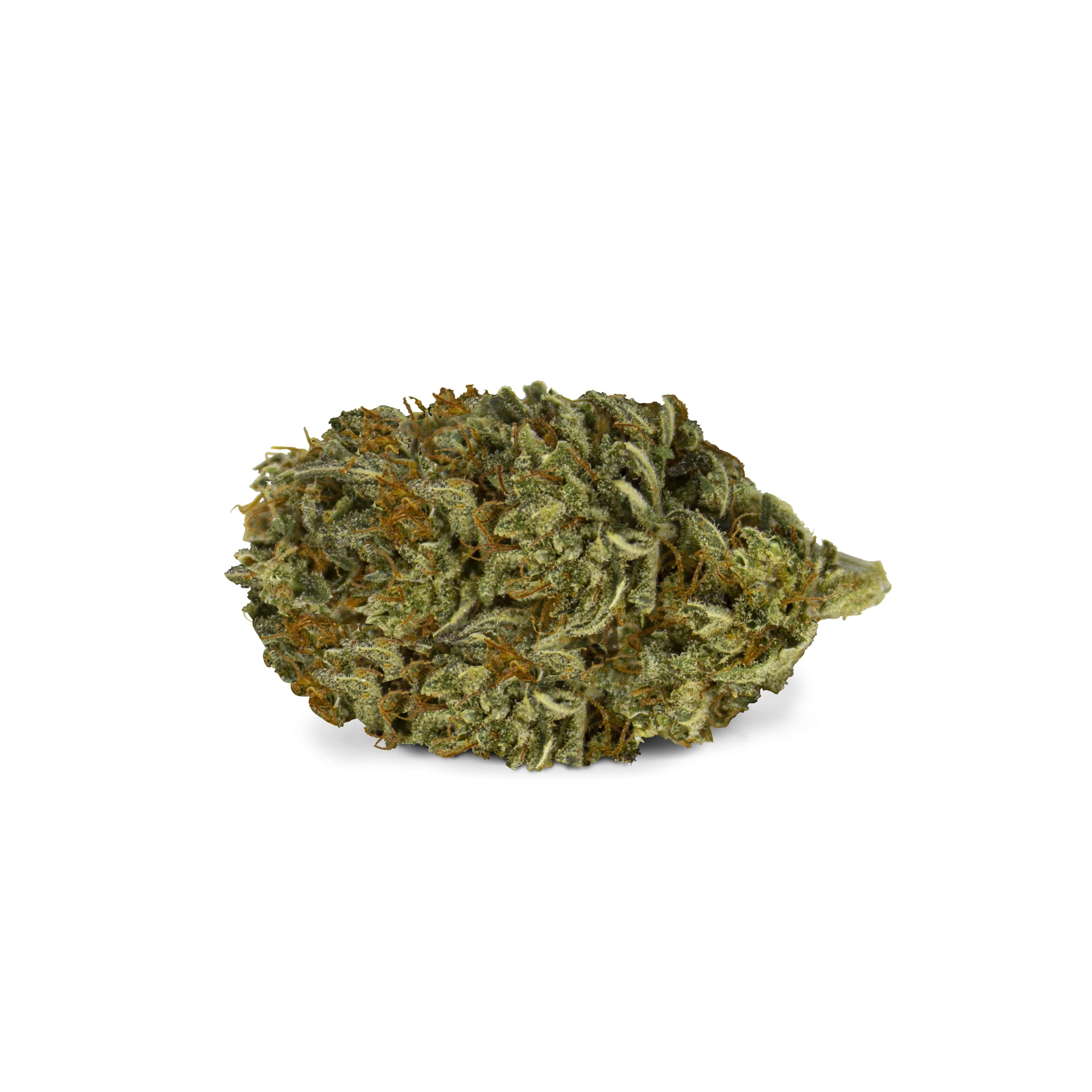 White widow 2g CBD coltivazione indoor