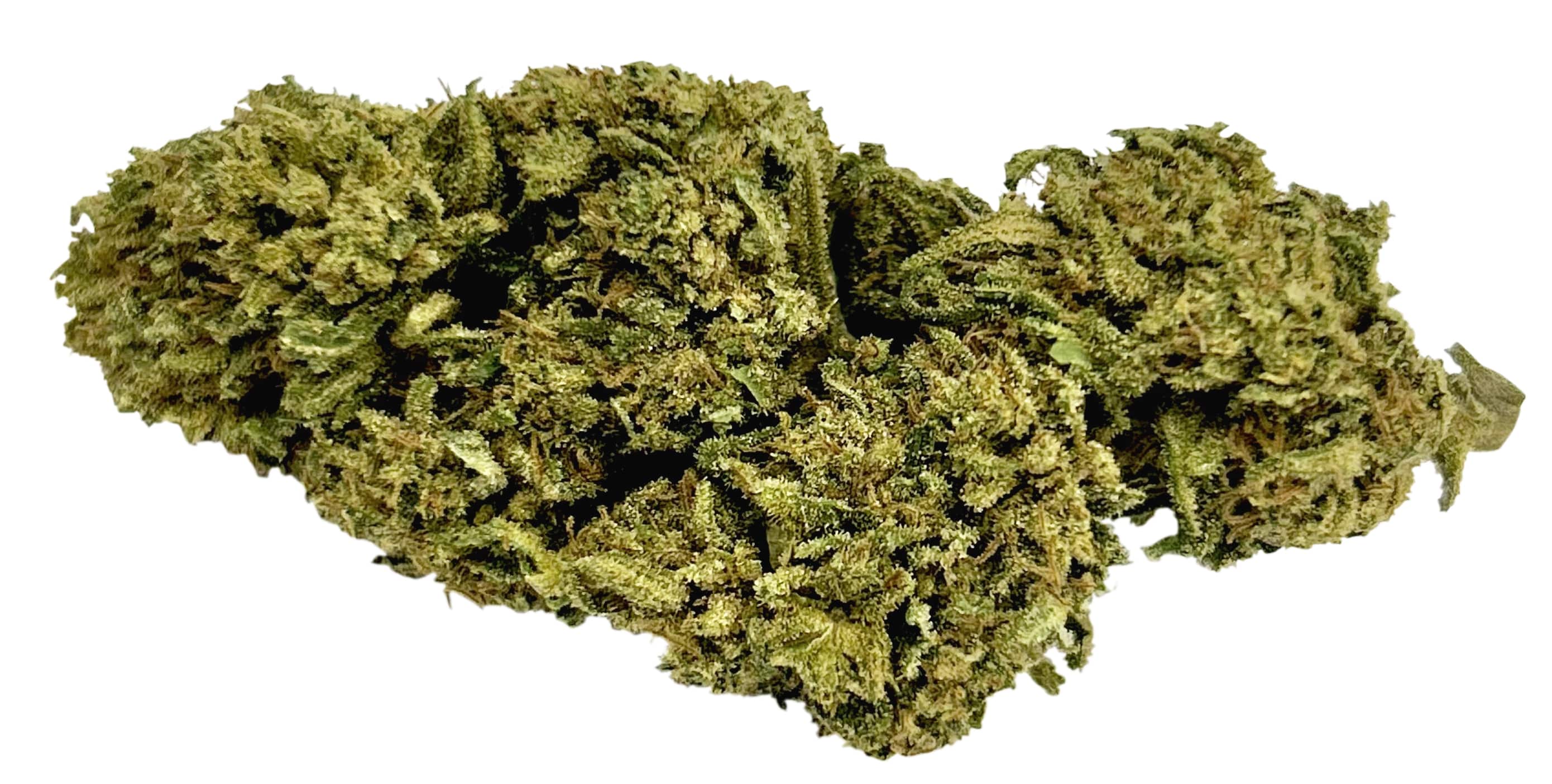 Watermelon CBD 2g coltivazione outdoor