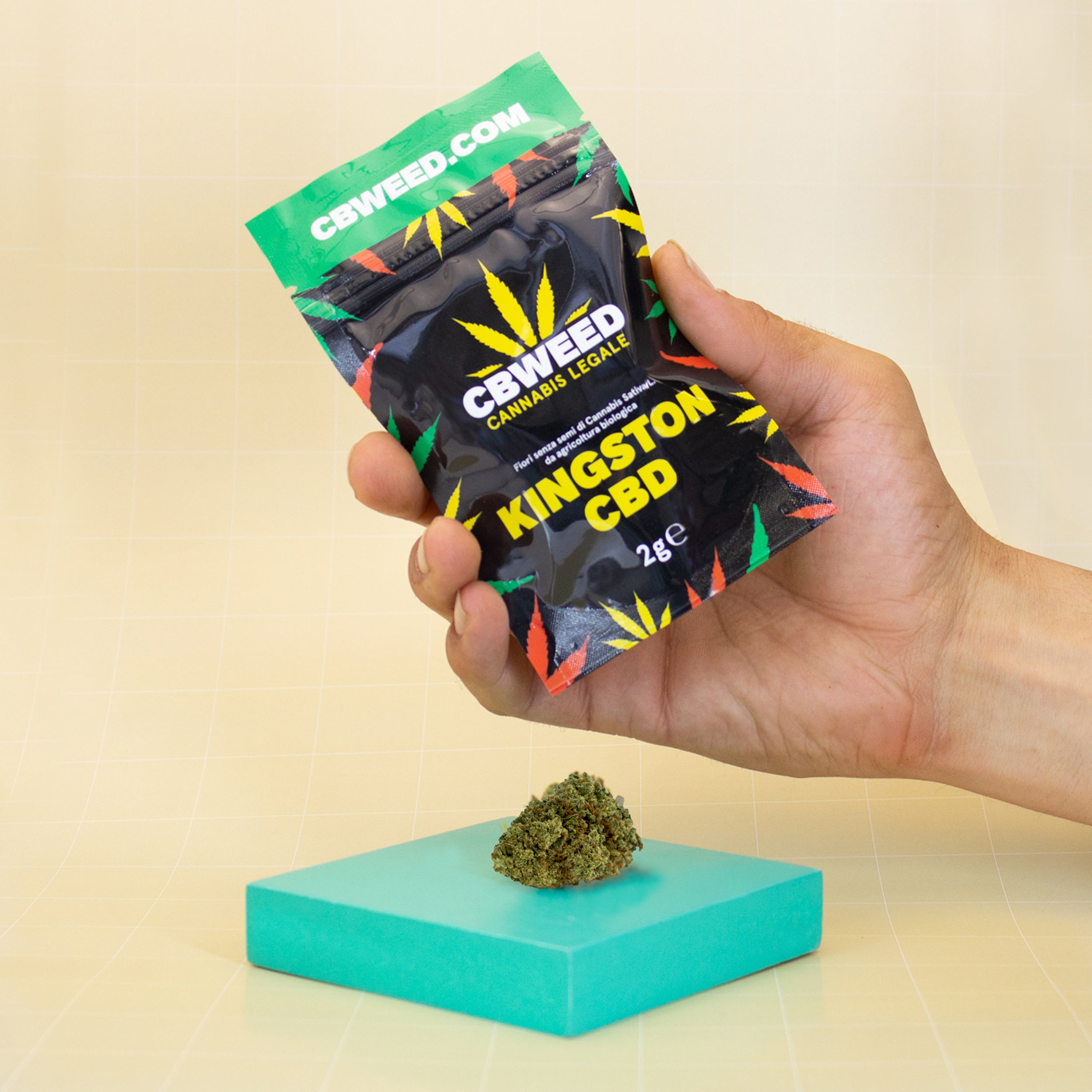 Kingston CBD 2g coltivazione outdoor