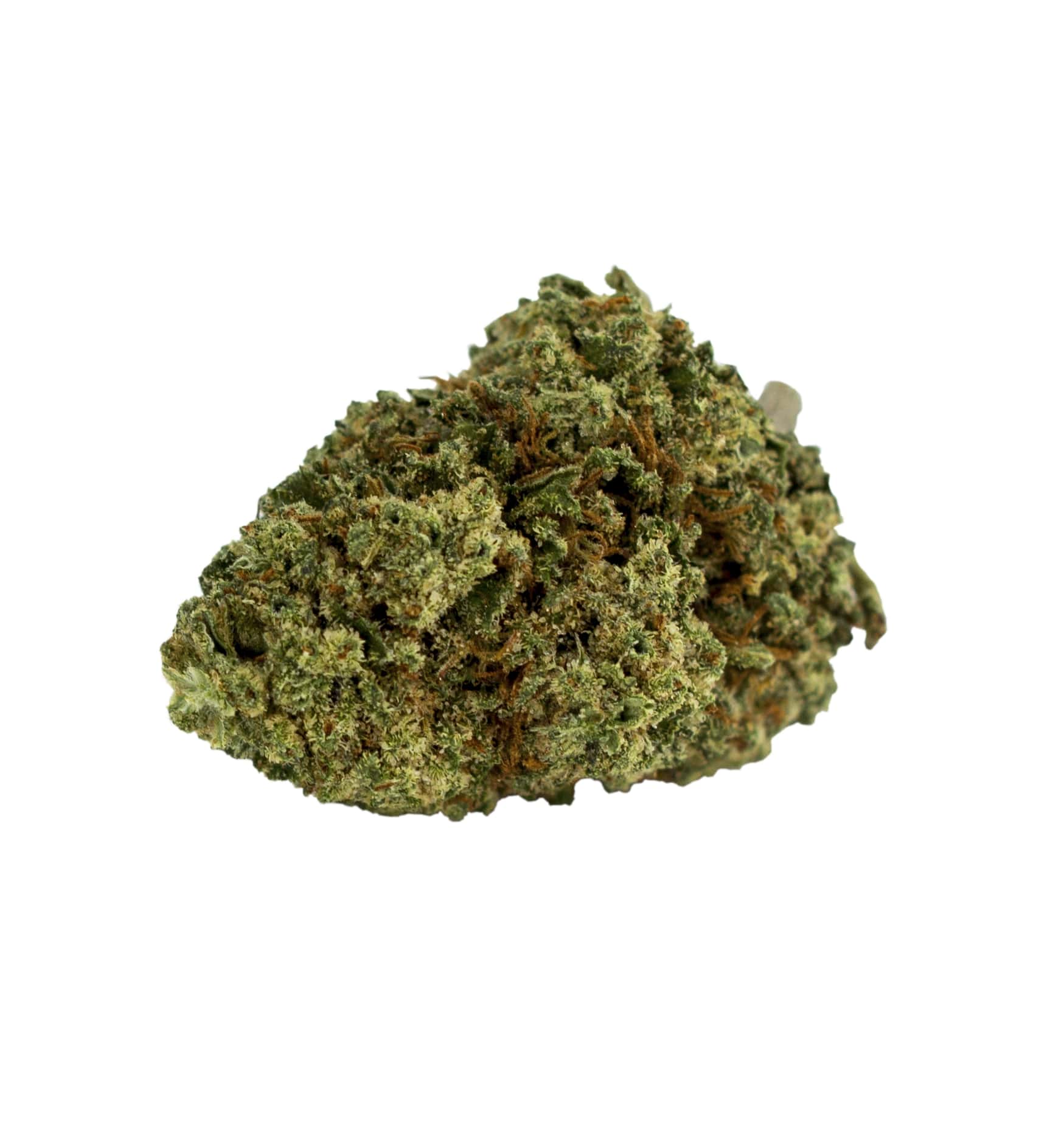 Kingston CBD 2g coltivazione outdoor